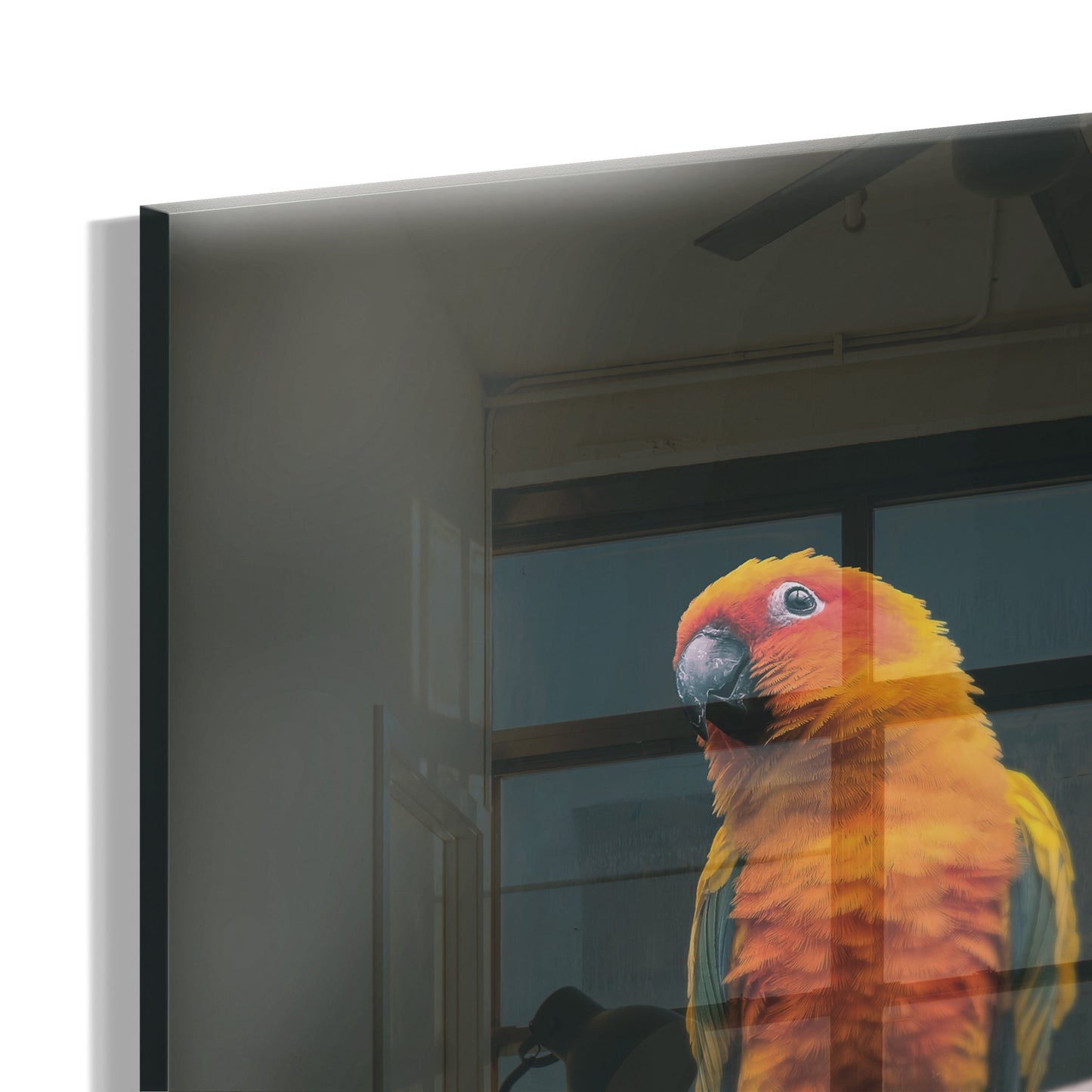 Exotic Parrot