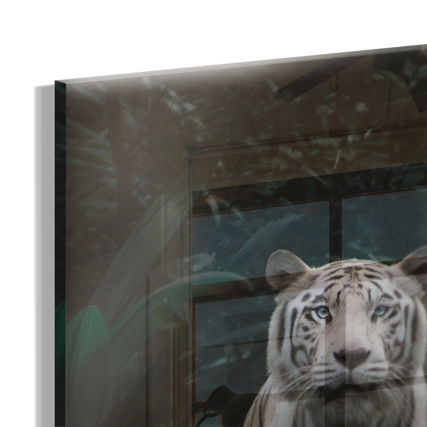 White Tiger