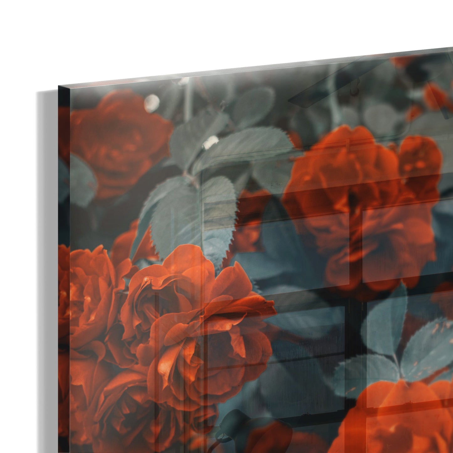 Scarlet Flowers