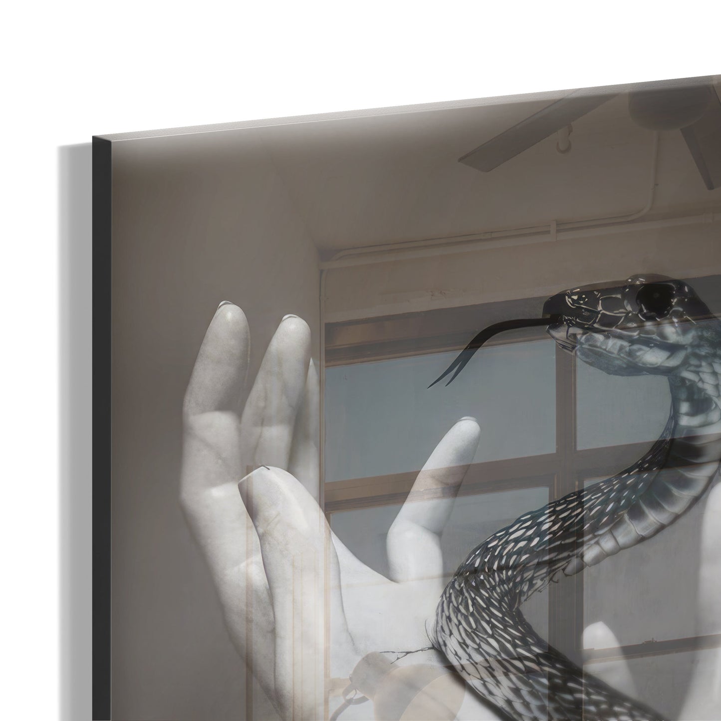 Vipera Gratia “Versace”