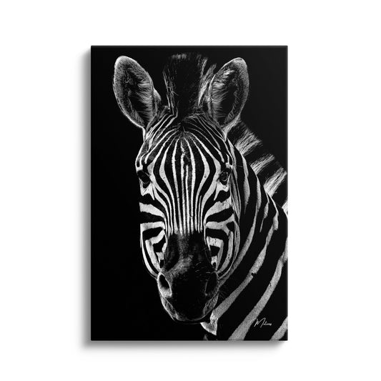 Zebra Zen