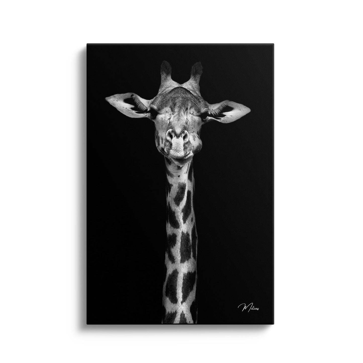 Giraffe Smile