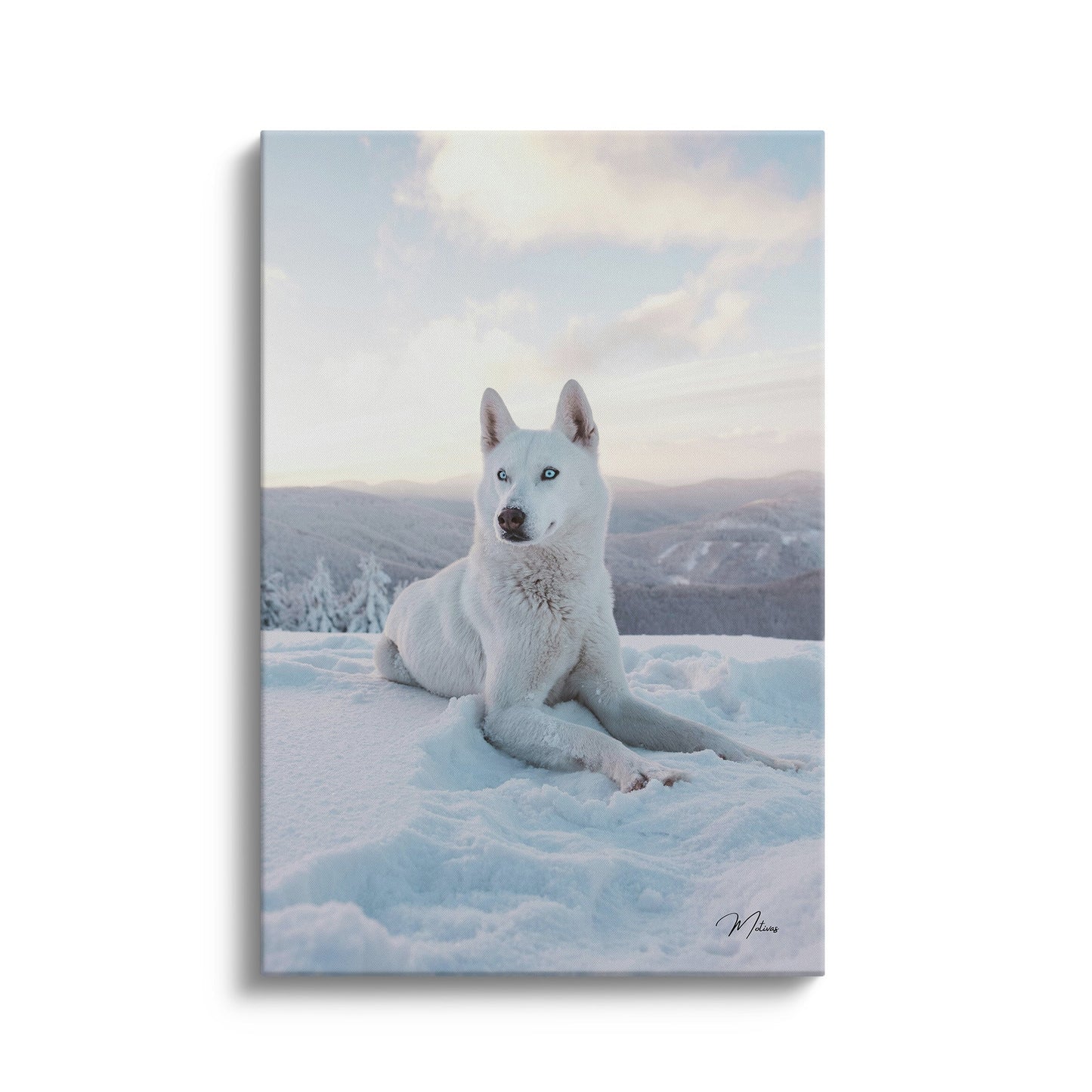 Snow King