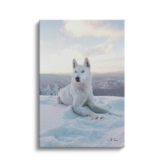 Snow King