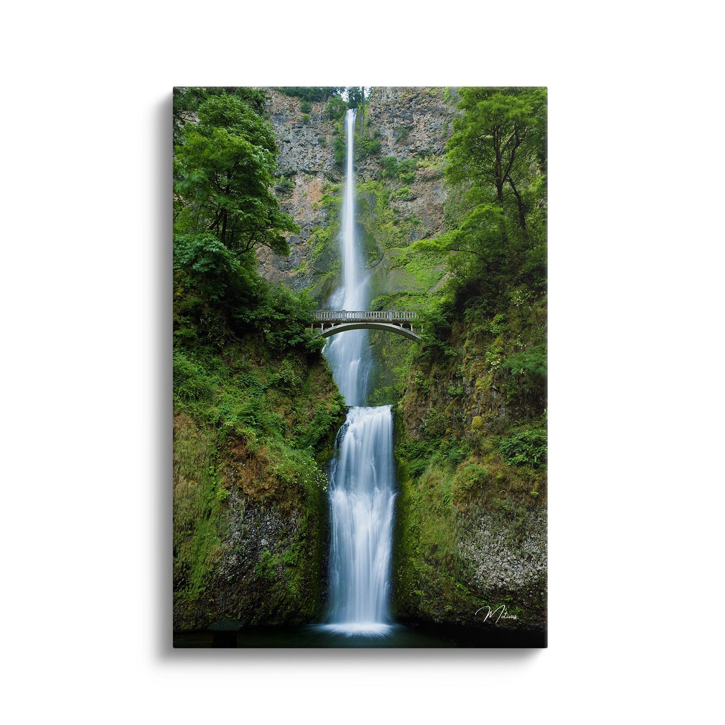 Waterfall Wonder