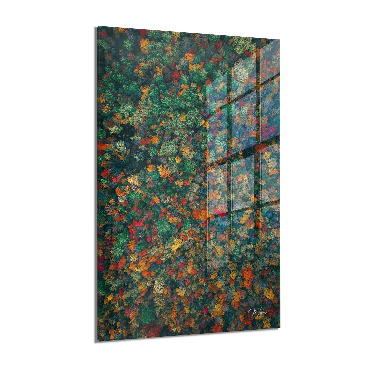 Abstract “Forrest”