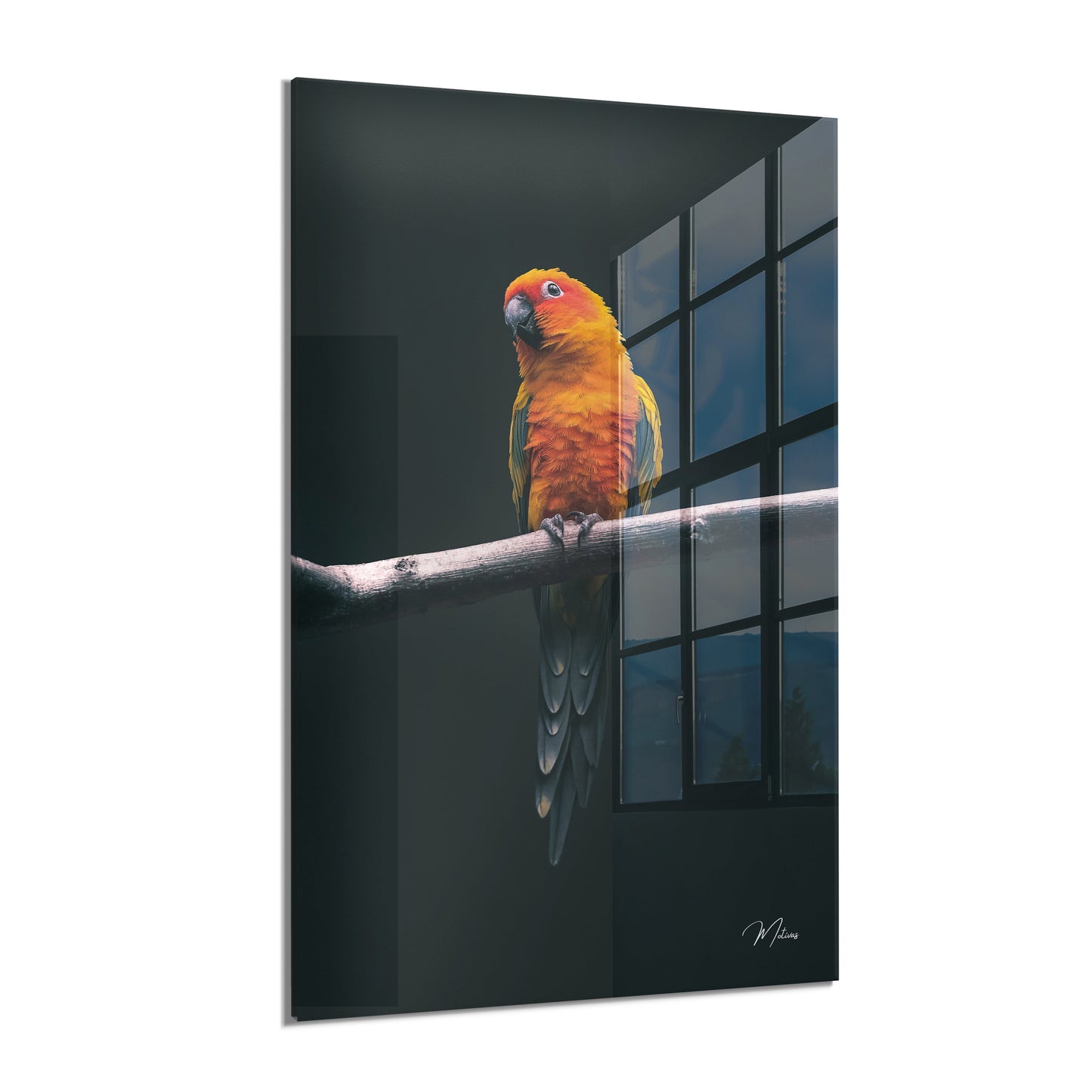 Exotic Parrot