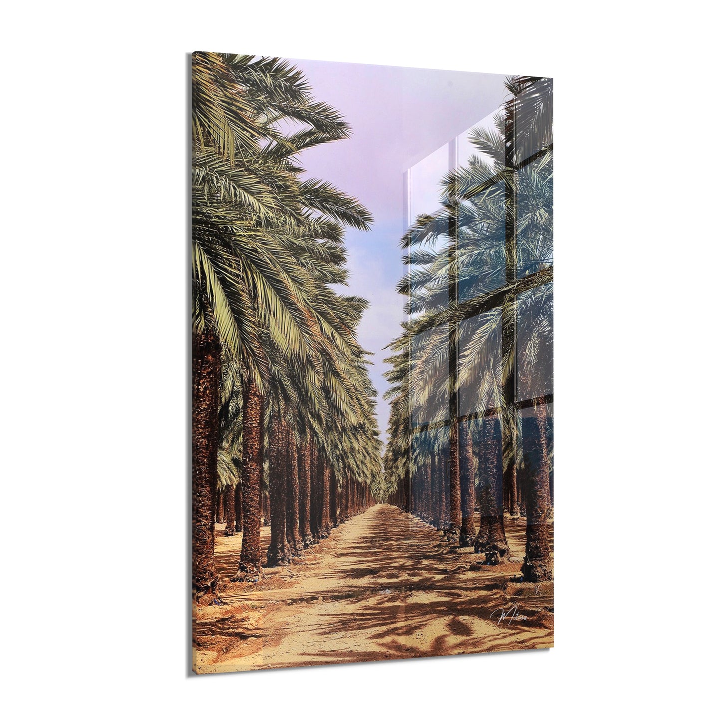 Palm Avenue