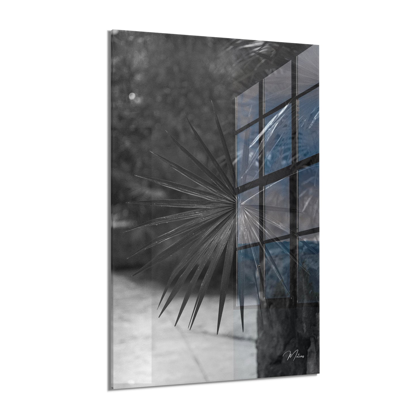 Black and White Palm Leaf