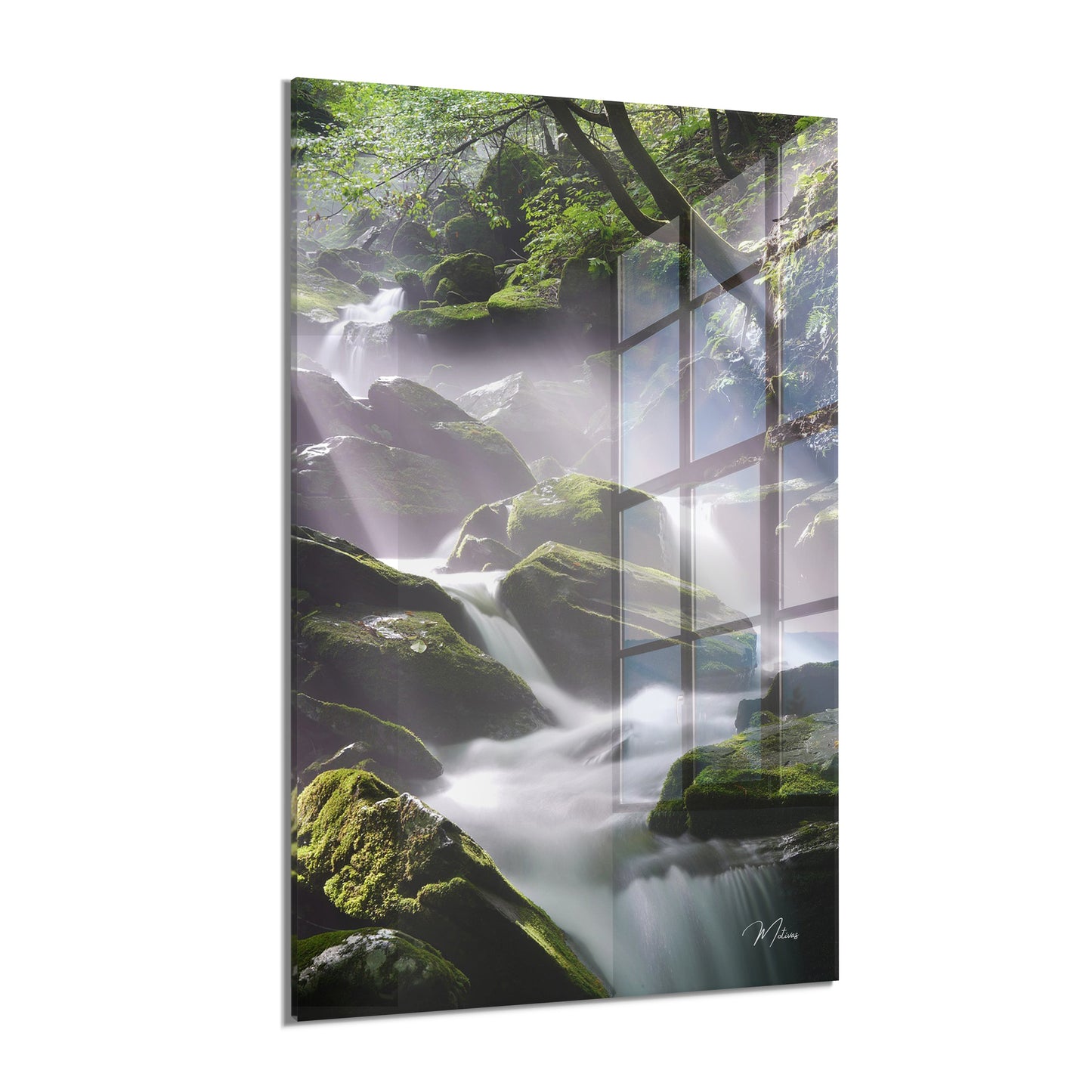 Flowing Paradise