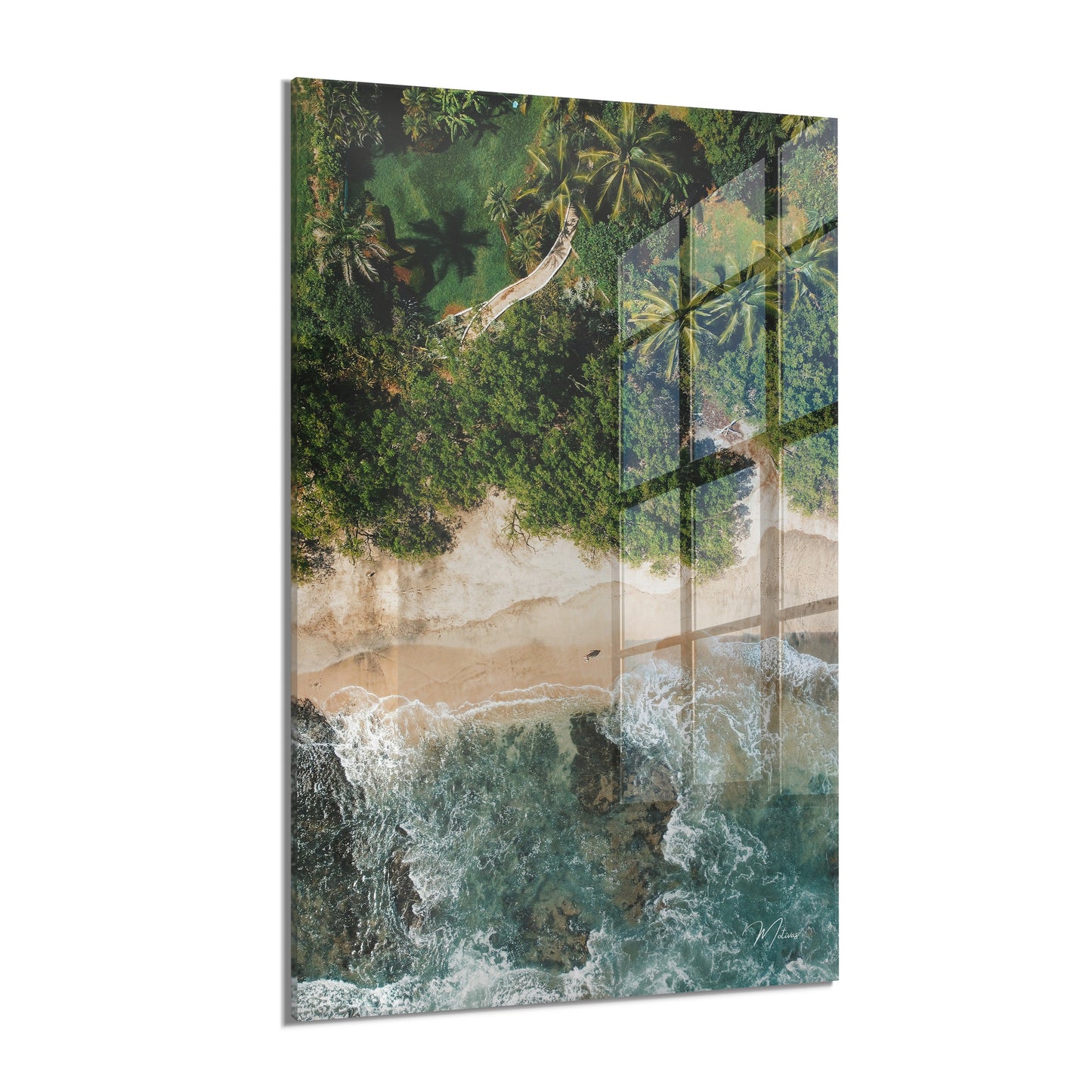 Palms and Waves