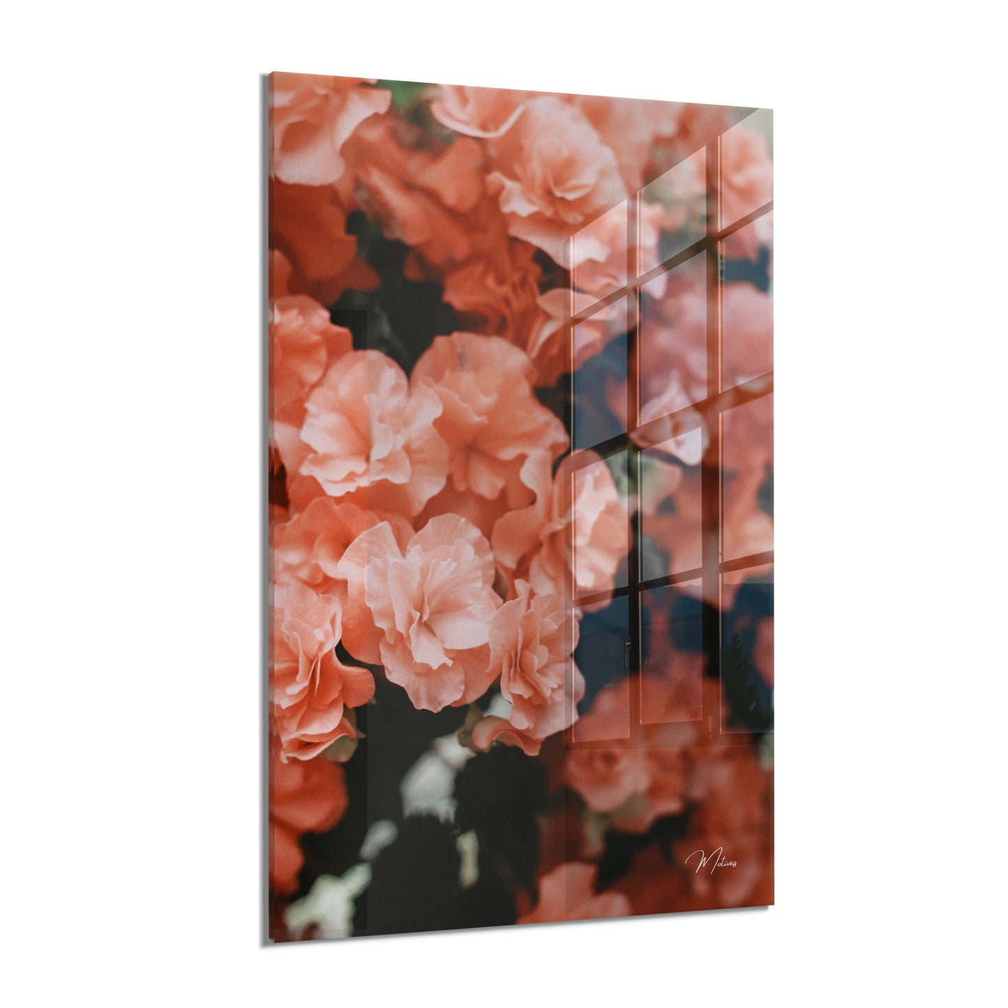 Terracotta Flowers