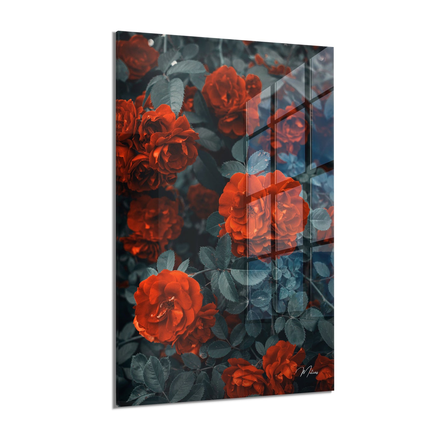 Scarlet Flowers