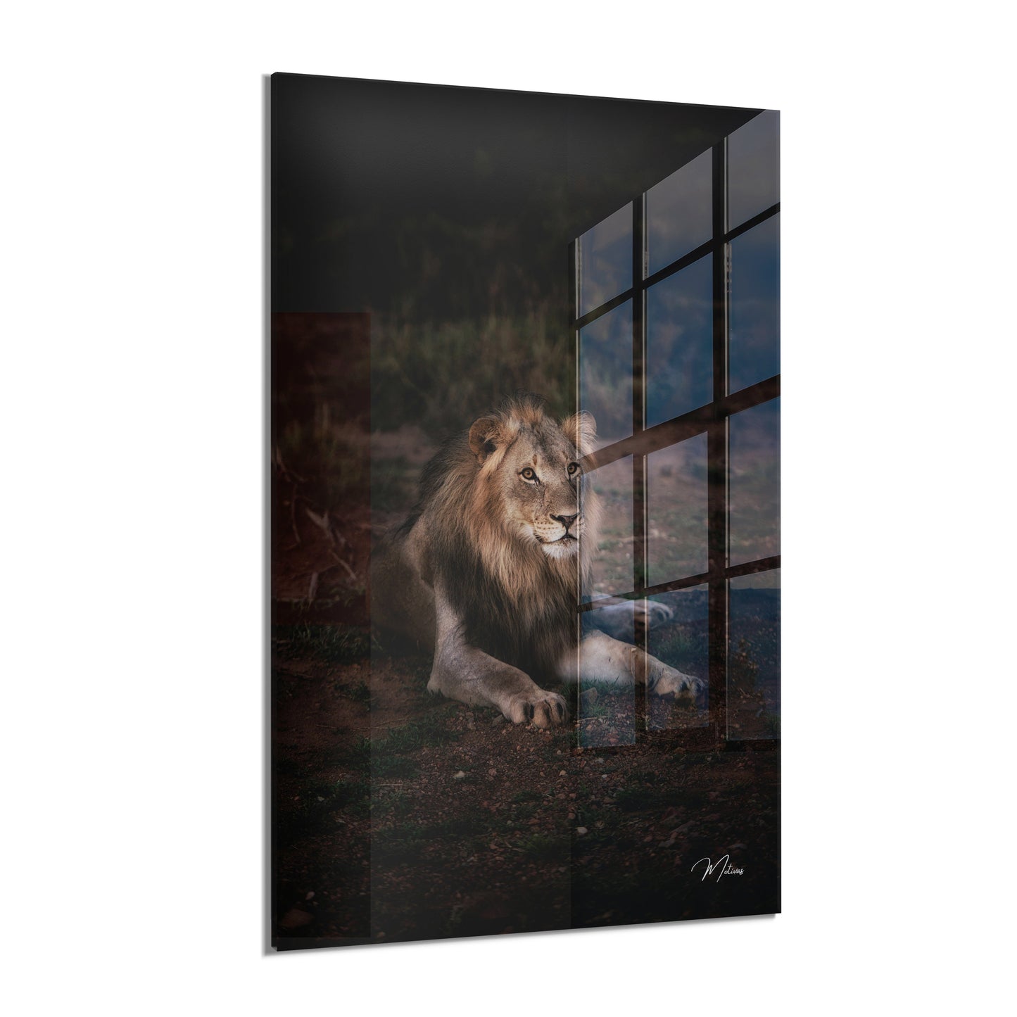 Majestic King