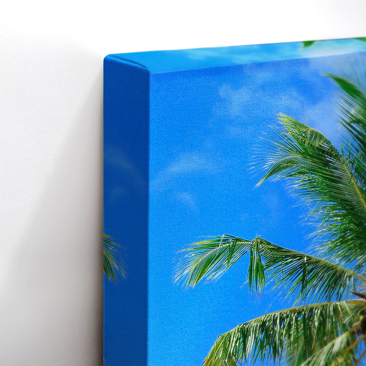 Palm Paradise