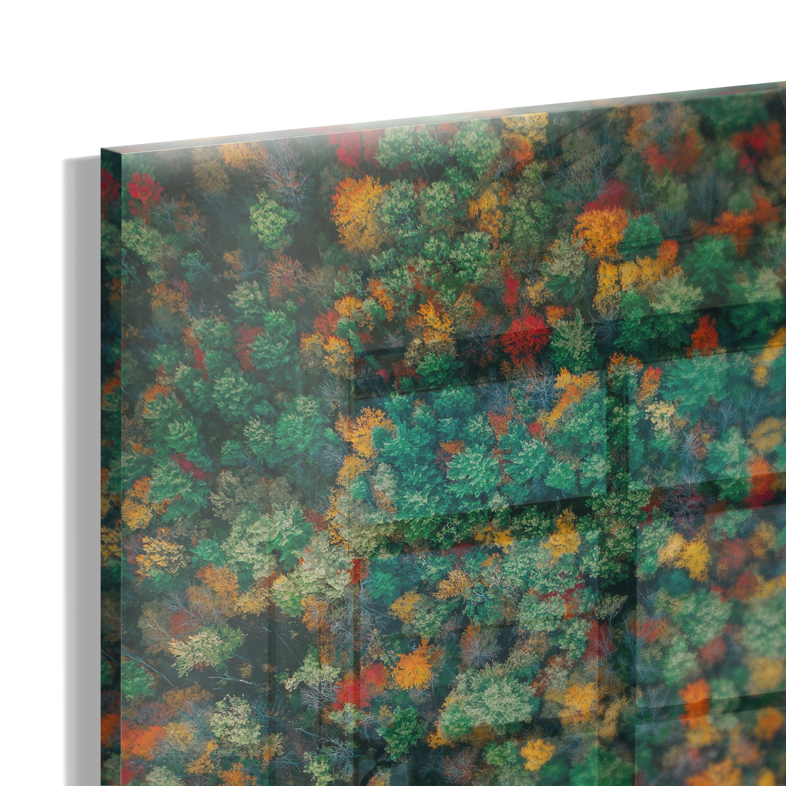 Abstract “Forrest”