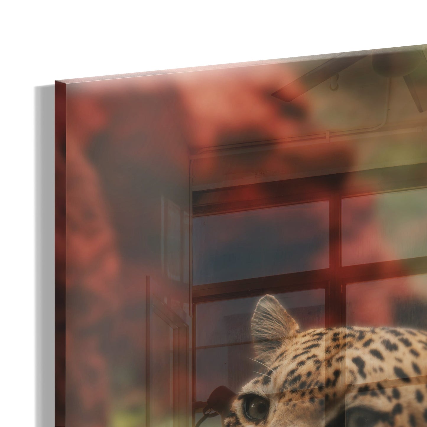 Elegant Leopard