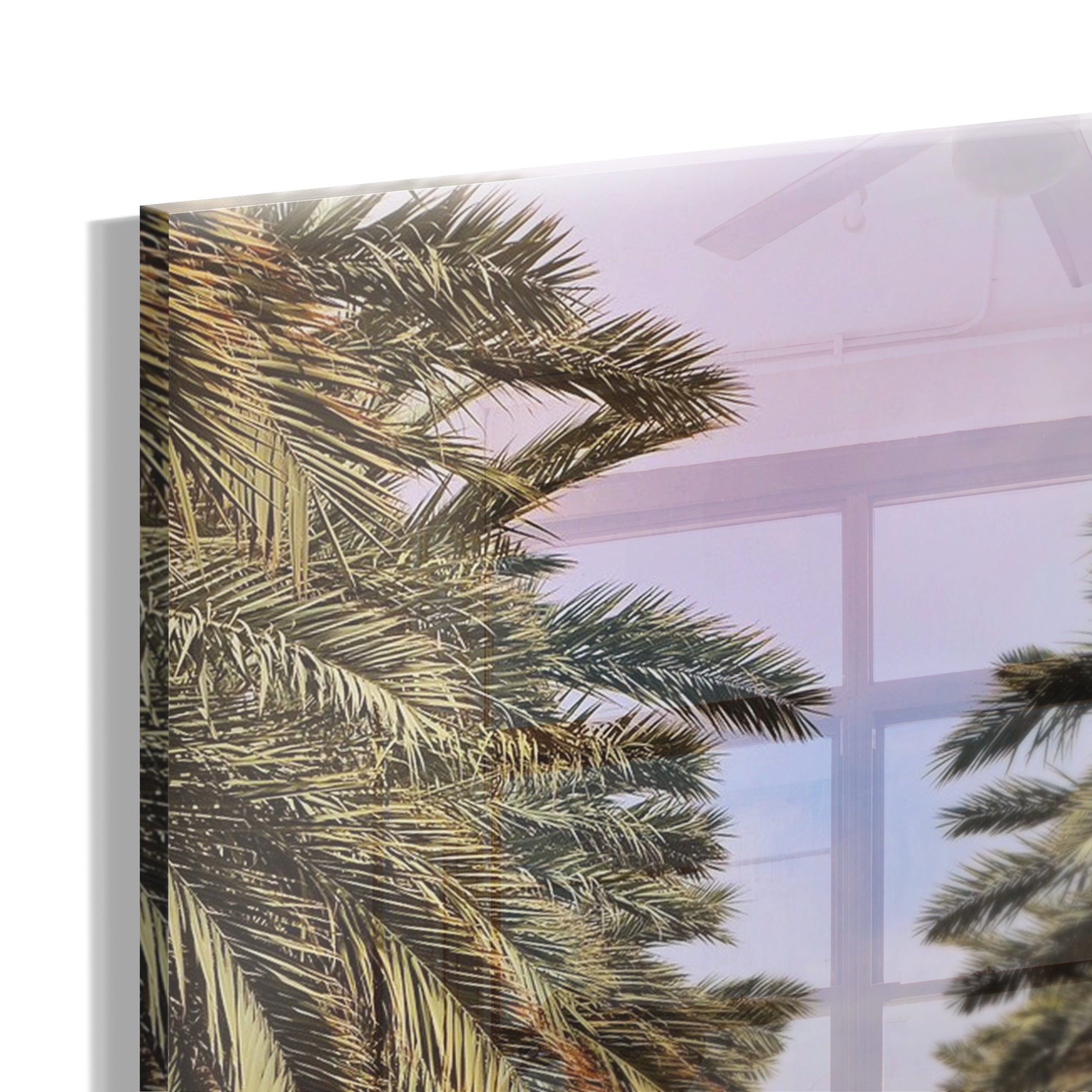 Palm Avenue