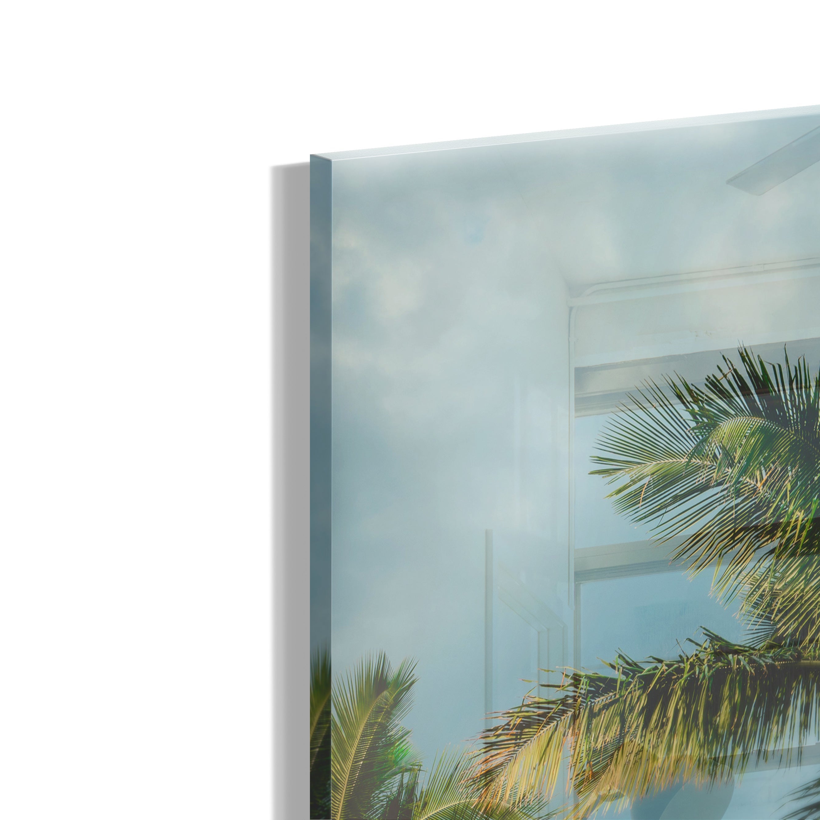 Palms and Blue Sky