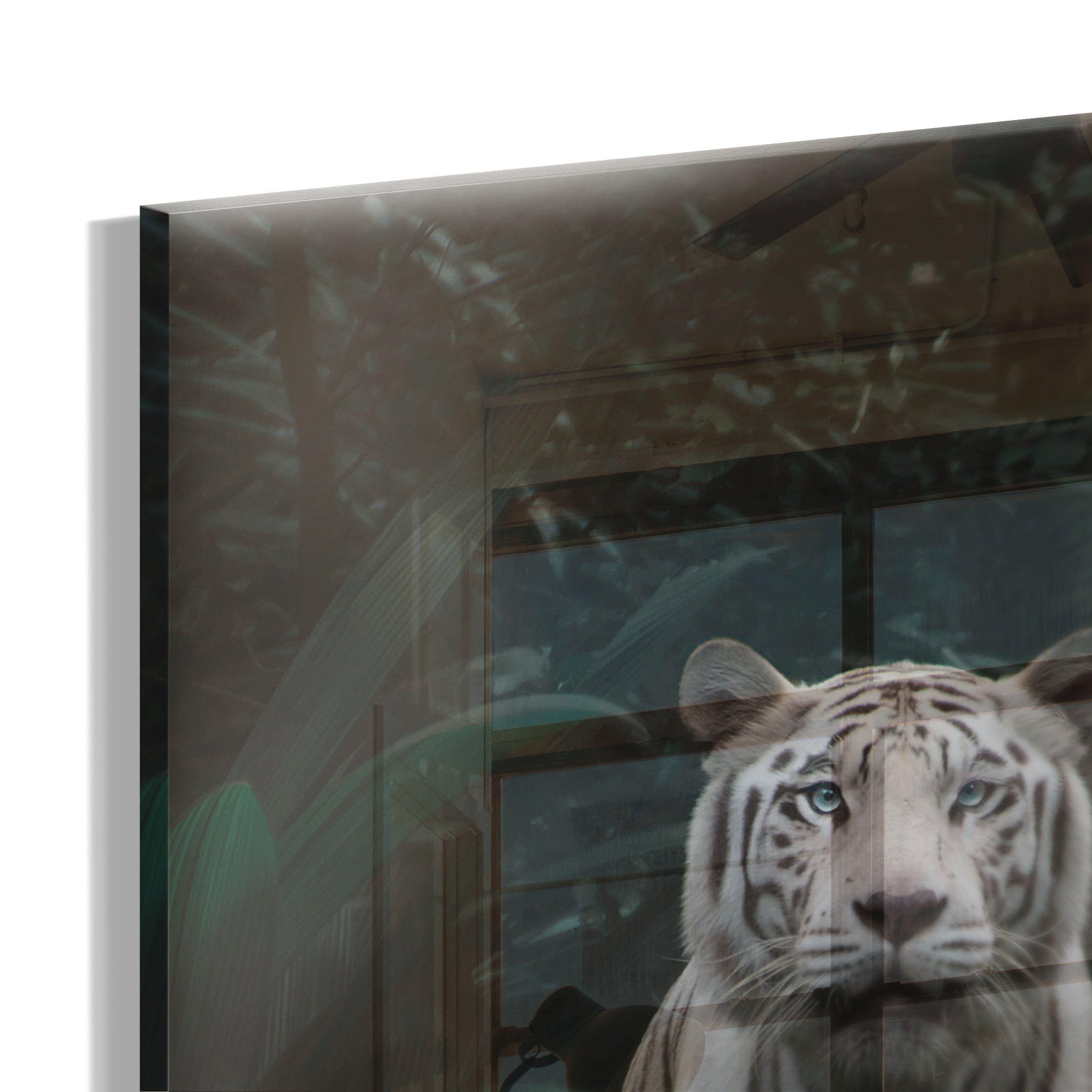 White Tiger