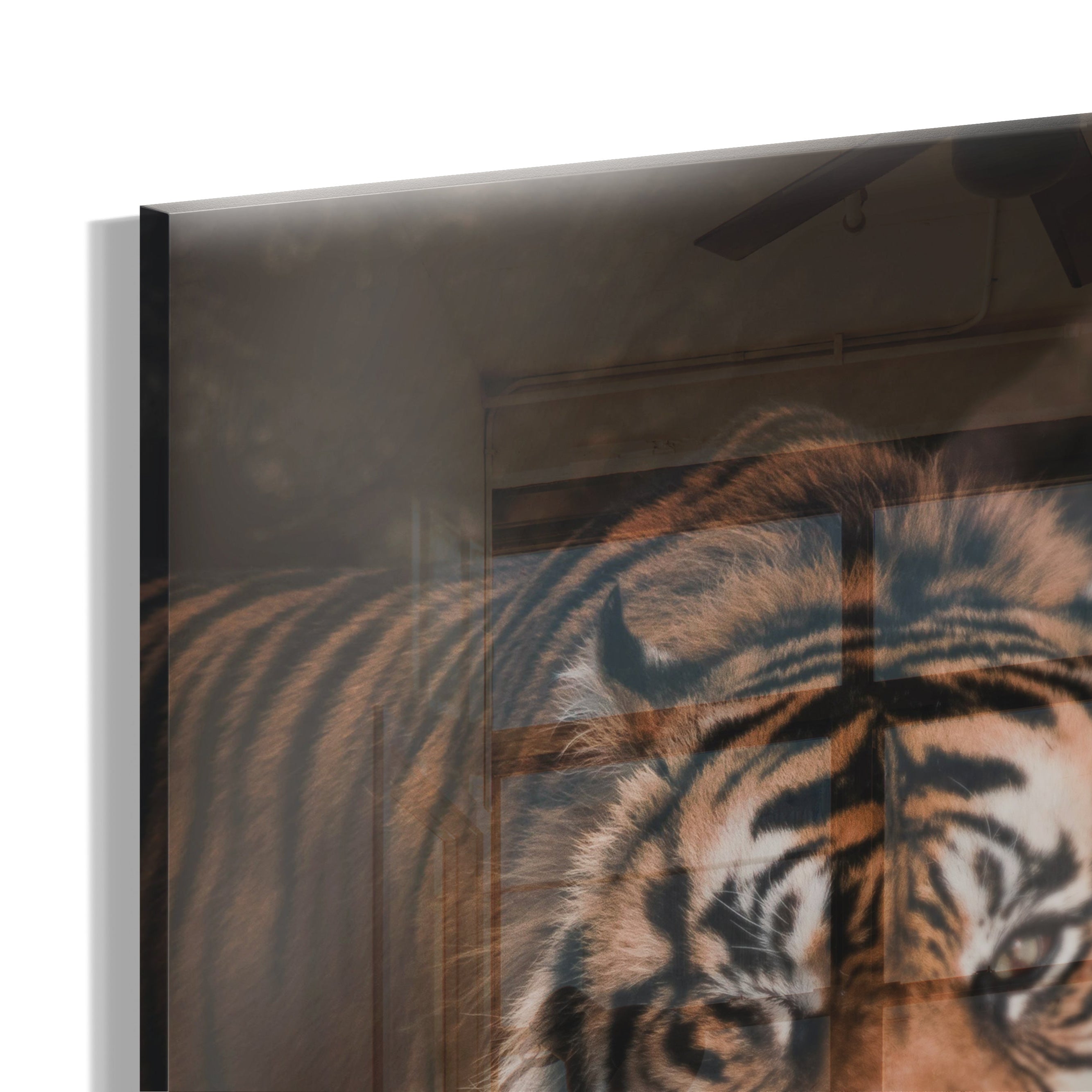 Hunting Tiger