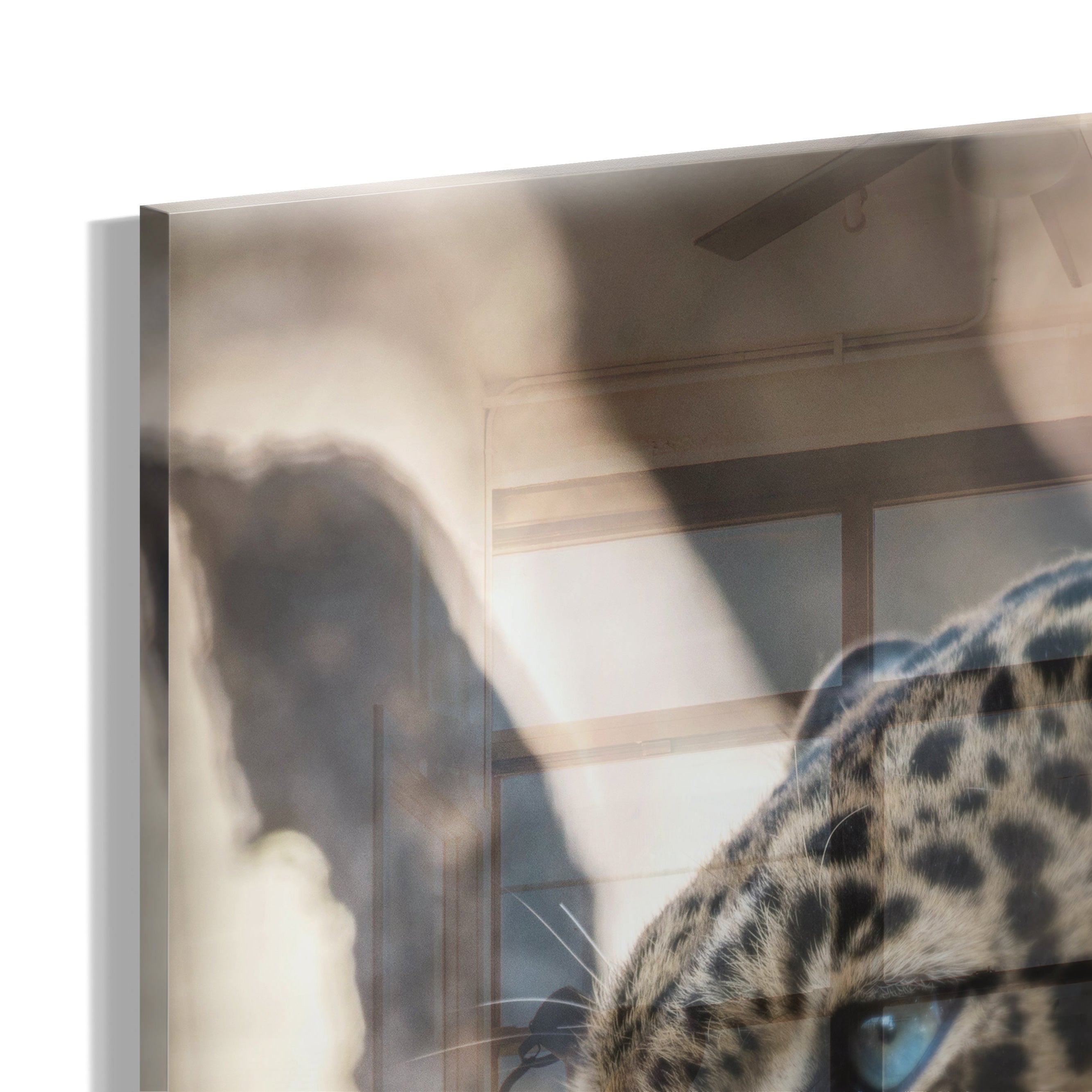 Eye of the Savannah