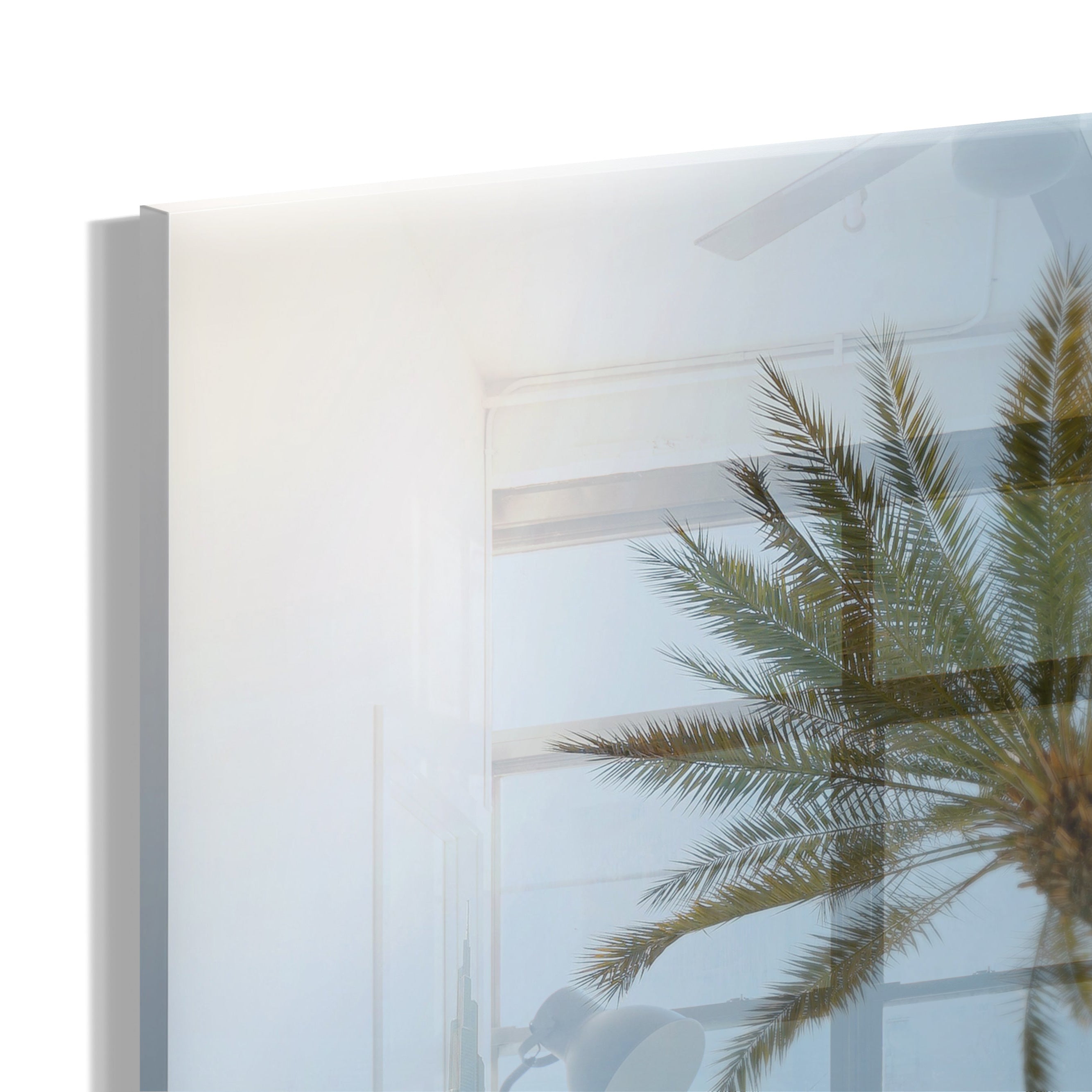 Palms in Dubai