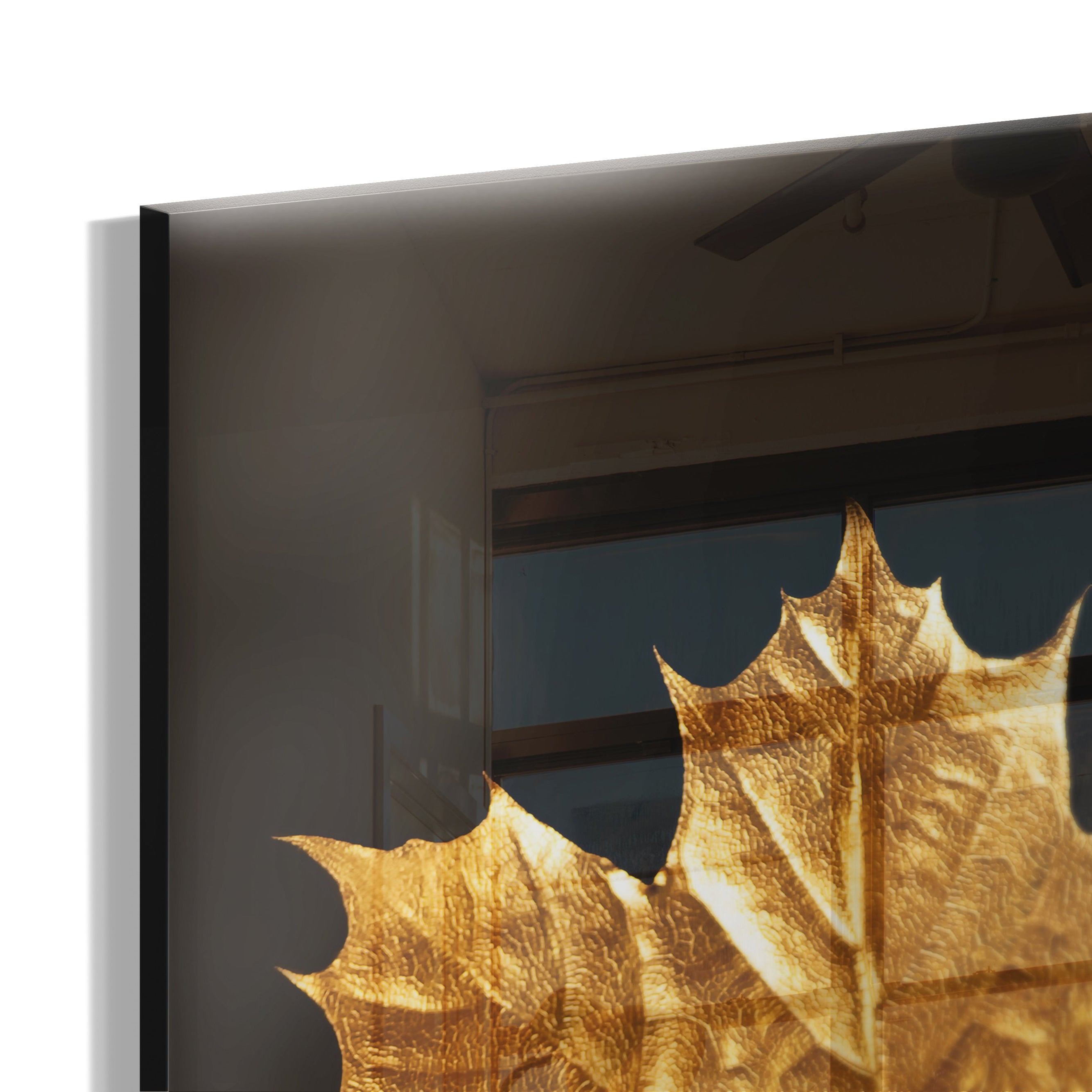 Golden Autumn Leaf