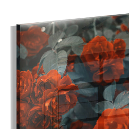 Scarlet Flowers