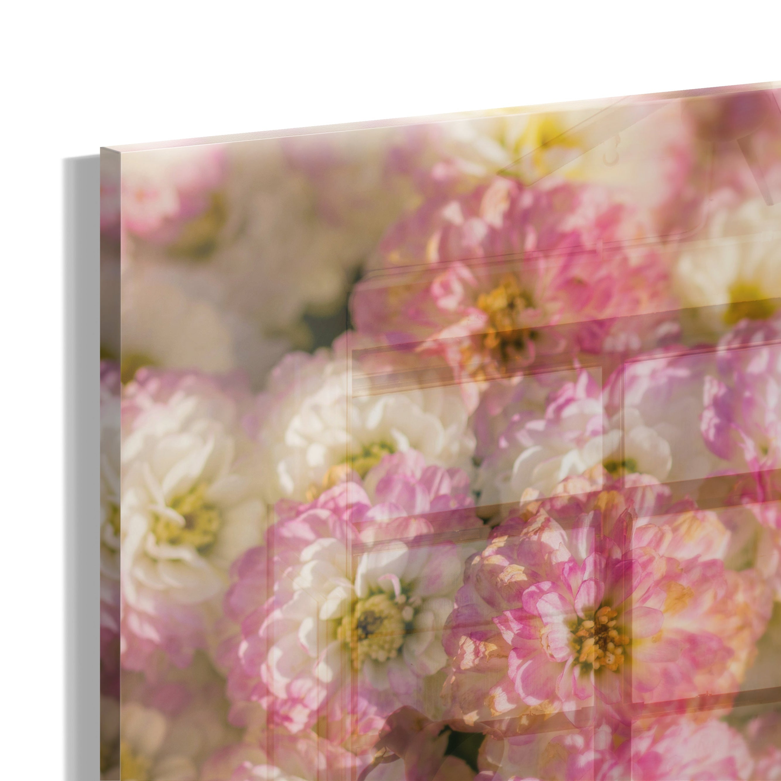 Cheerful Flowers