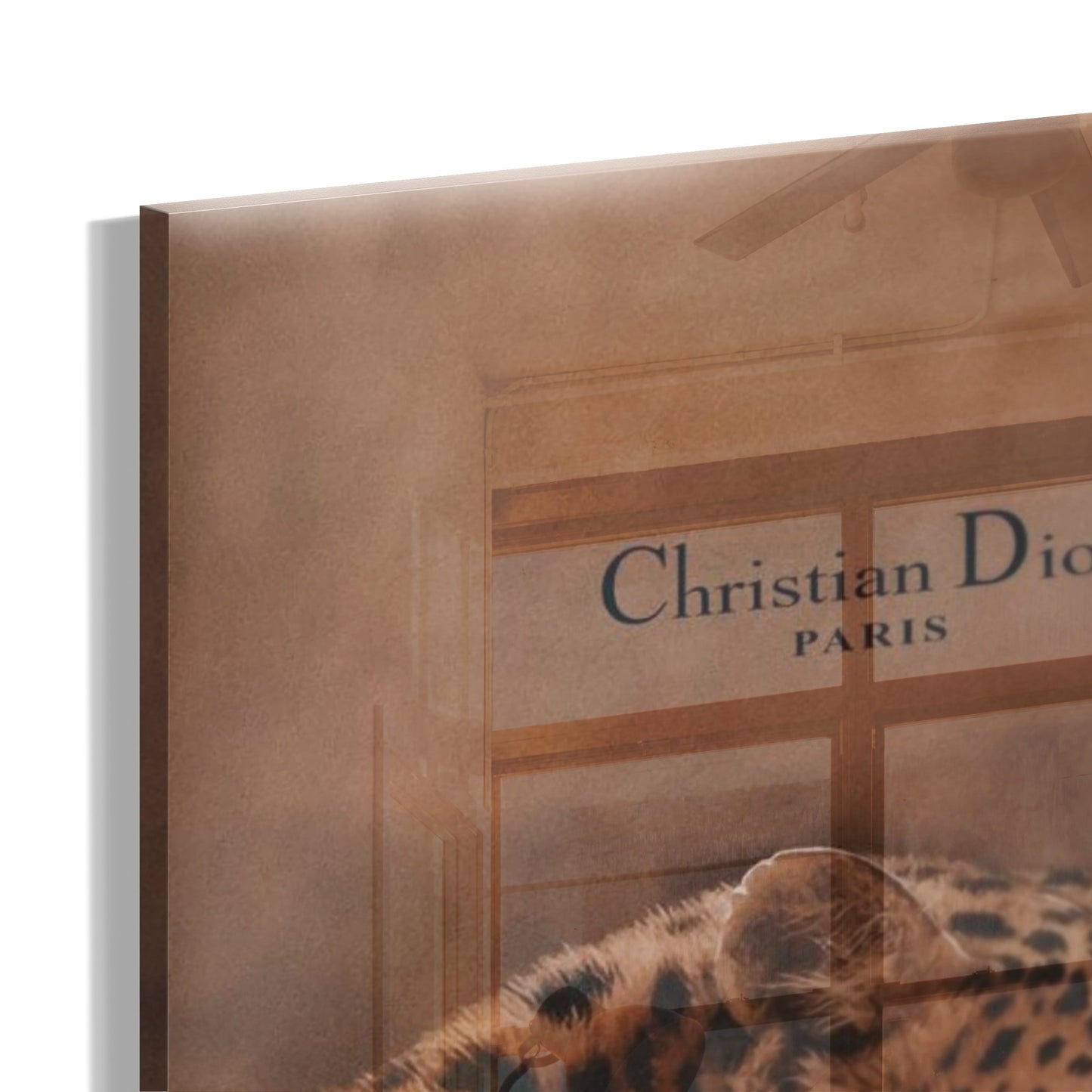 Elegant Cat “Dior”