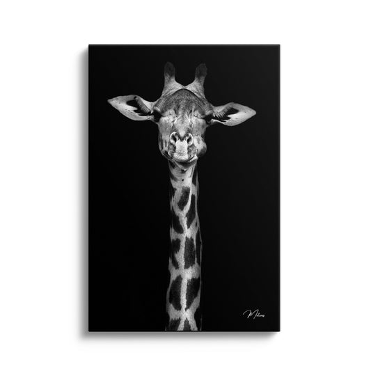 Giraffe Smile
