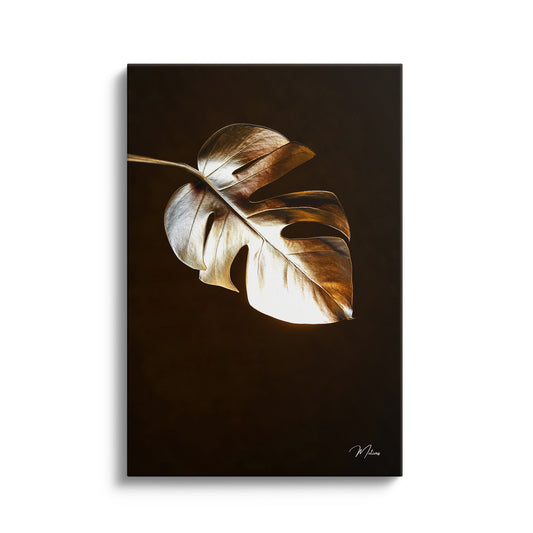 Golden Mastera IV