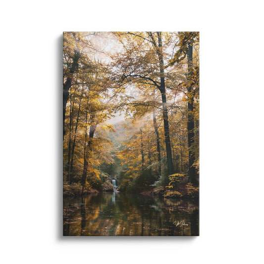 Forest Dream