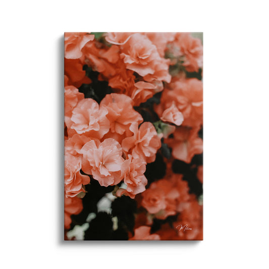 Terracotta Flowers
