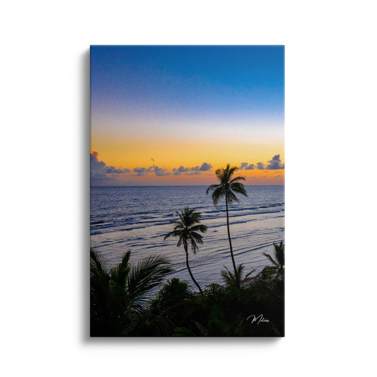 Tropical Twilight