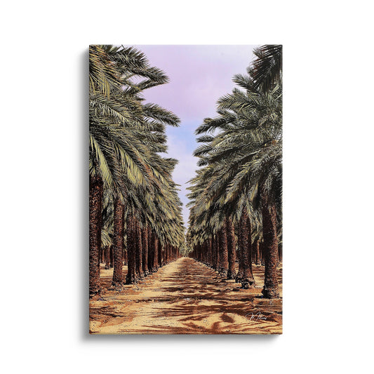 Palm Avenue