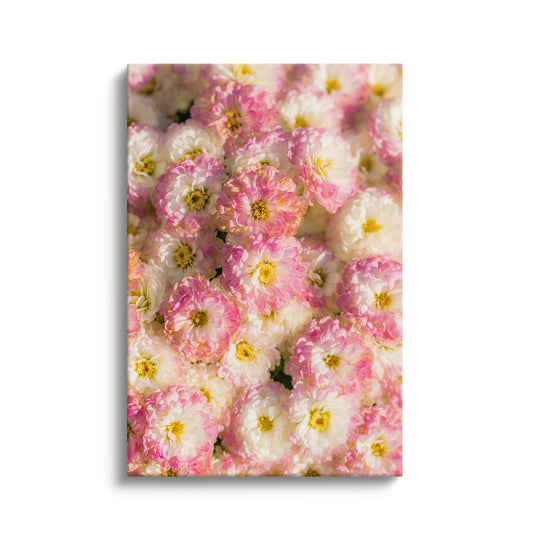 Cheerful Flowers
