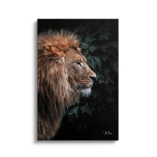 King of the Jungle