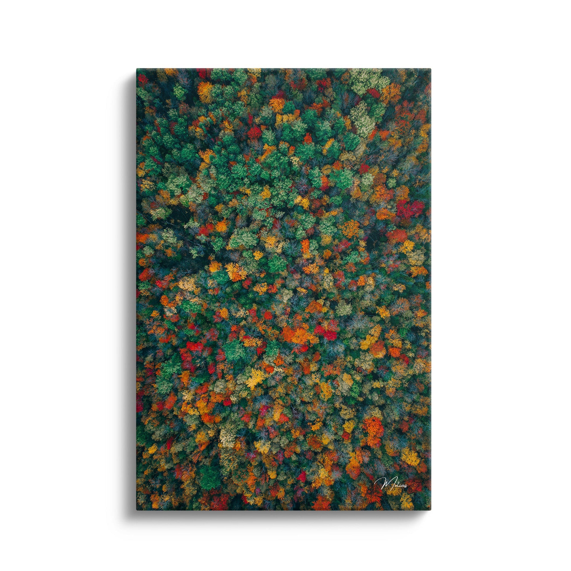 Abstract “Forrest”