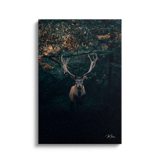 Antler Elegance