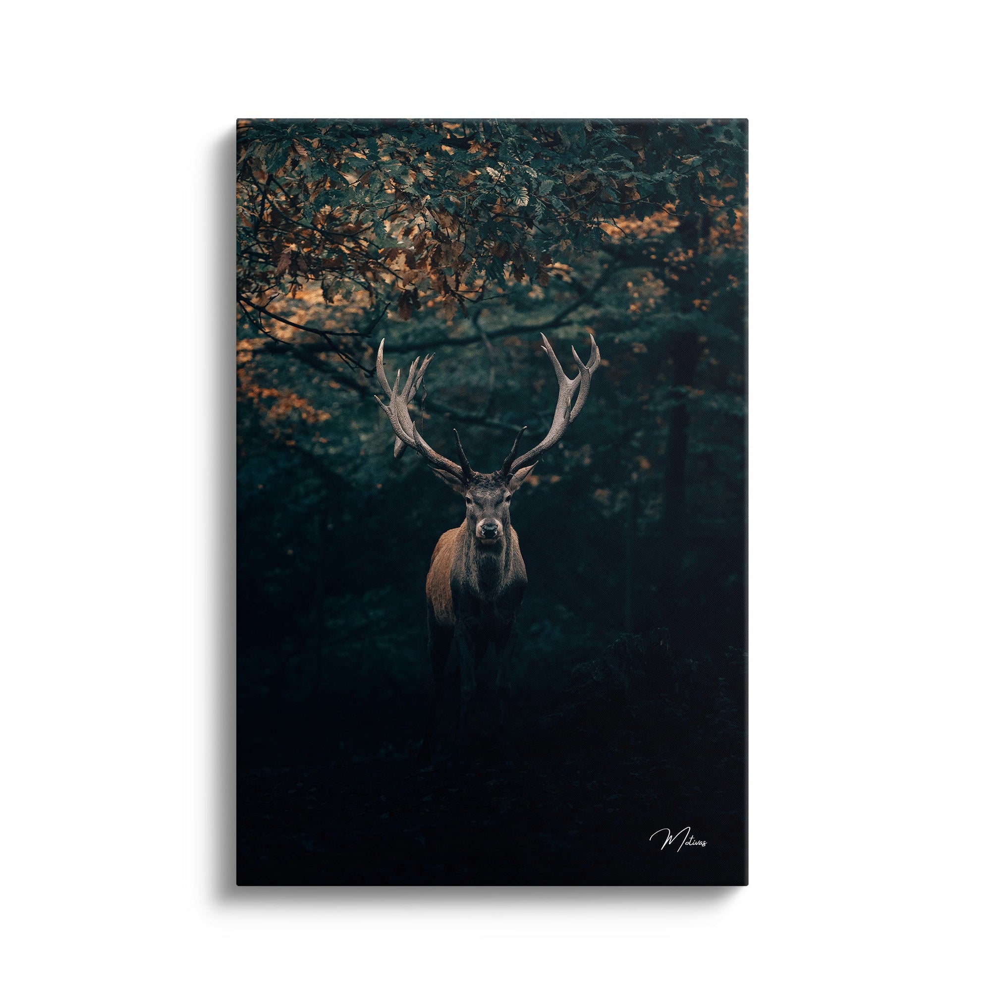 Antler Elegance