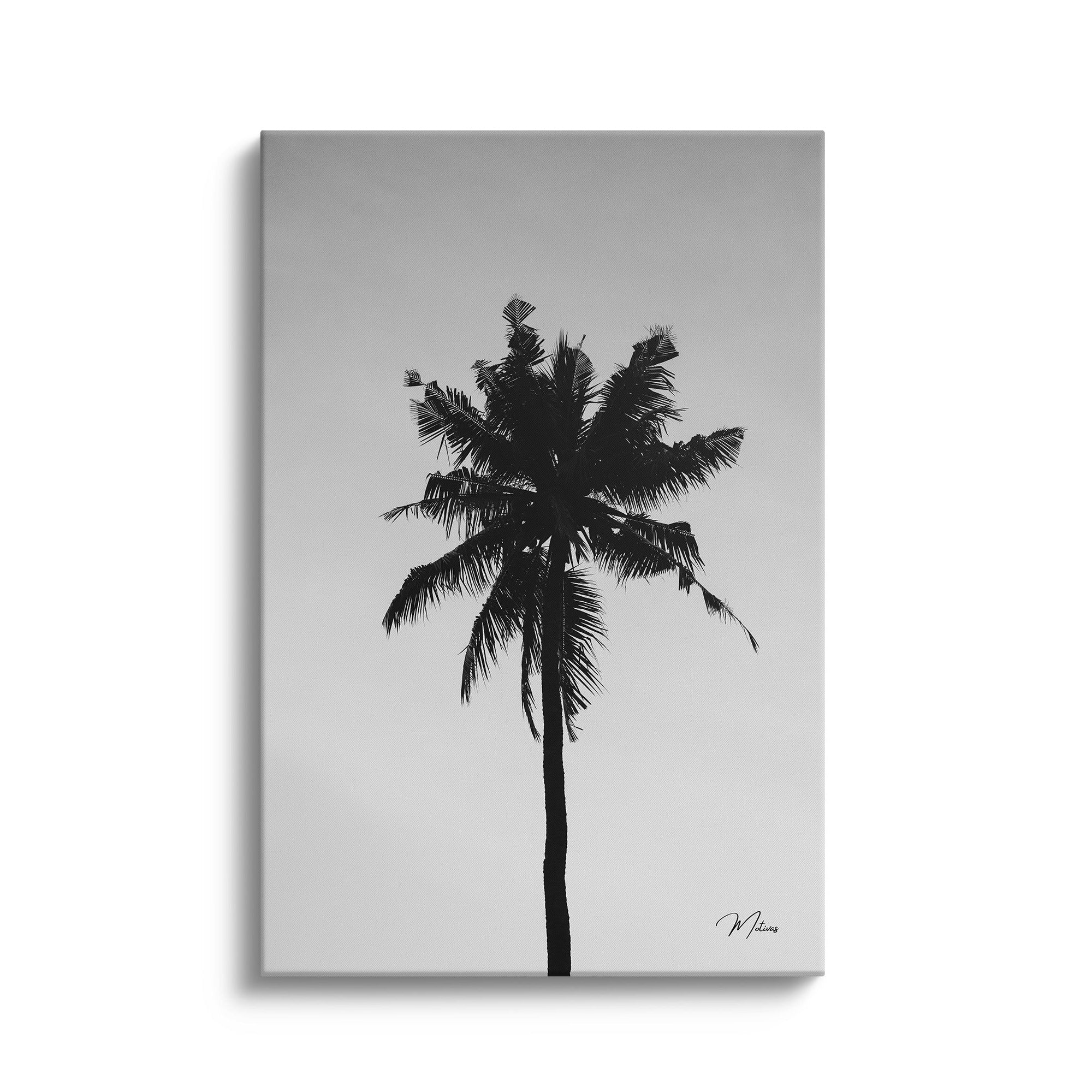 Black and White Palm