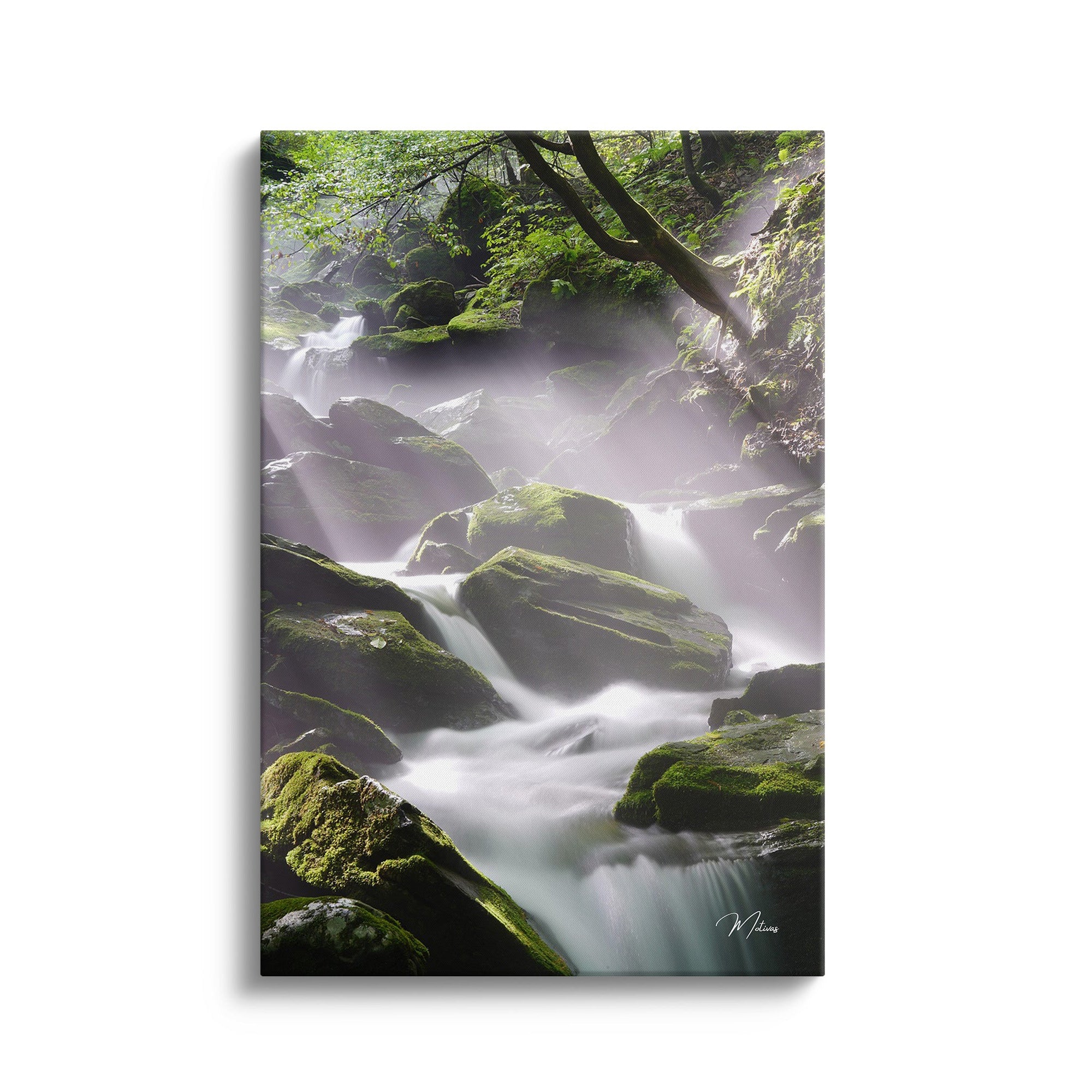Flowing Paradise