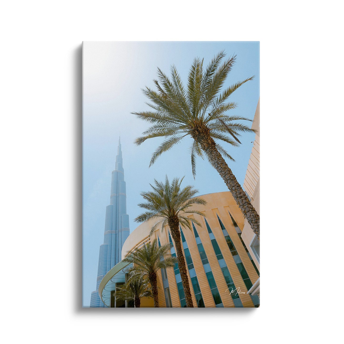 Palms in Dubai