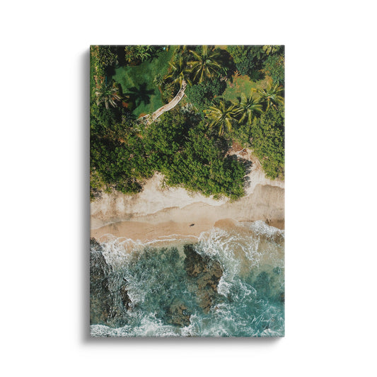 Palms and Waves