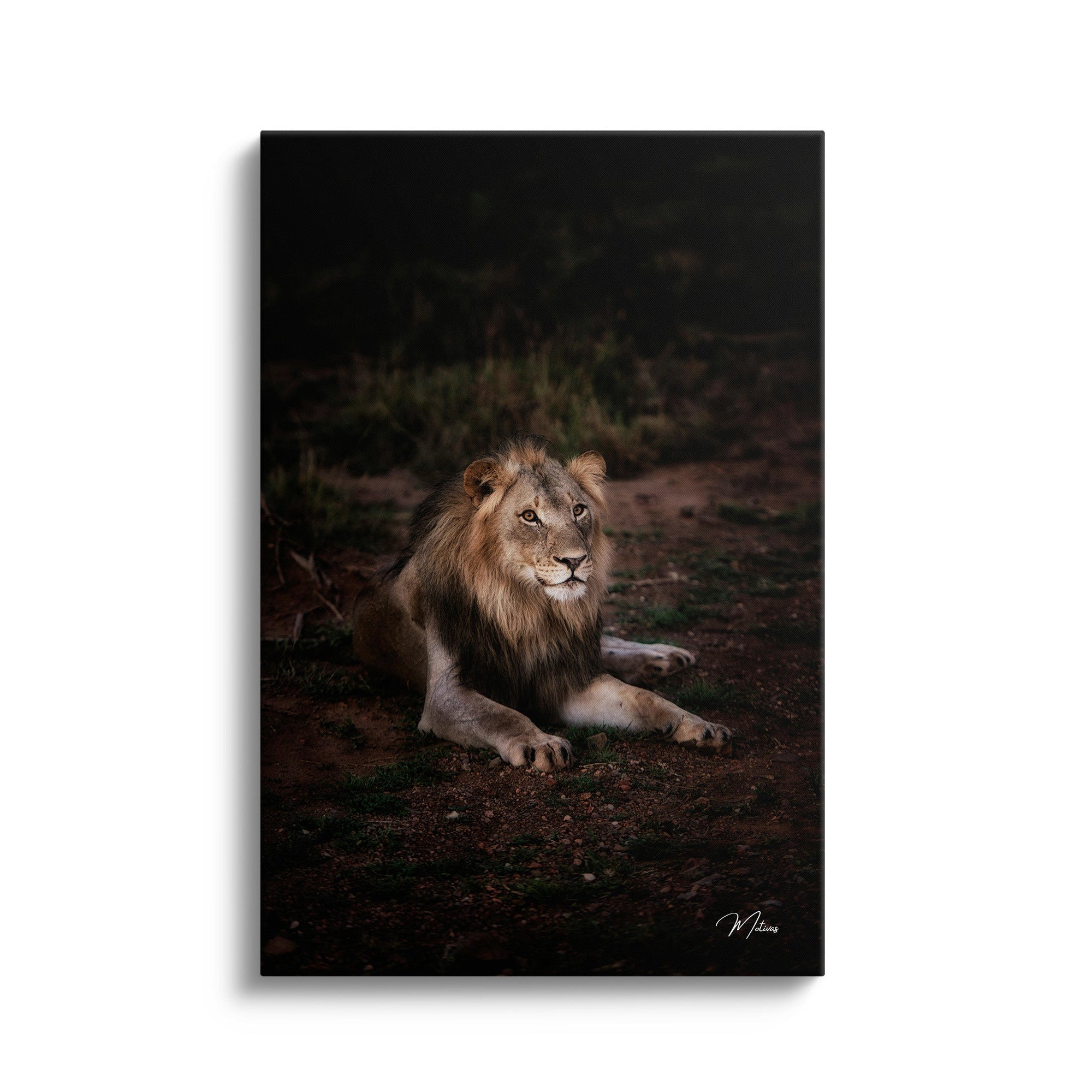 Majestic King