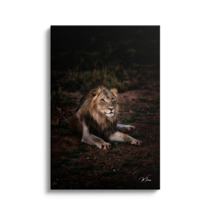 Majestic King