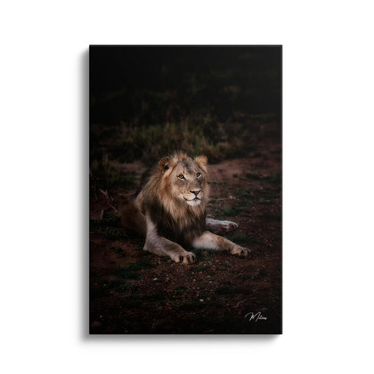 Majestic King