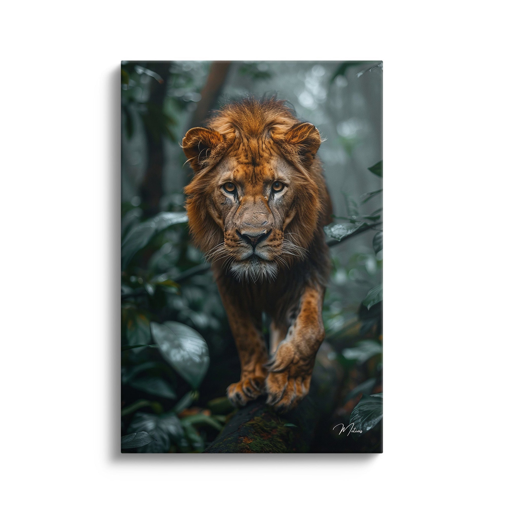 Jungle Majesty